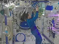 神舟二十一号乘组 开展植物栽培在轨验证试验