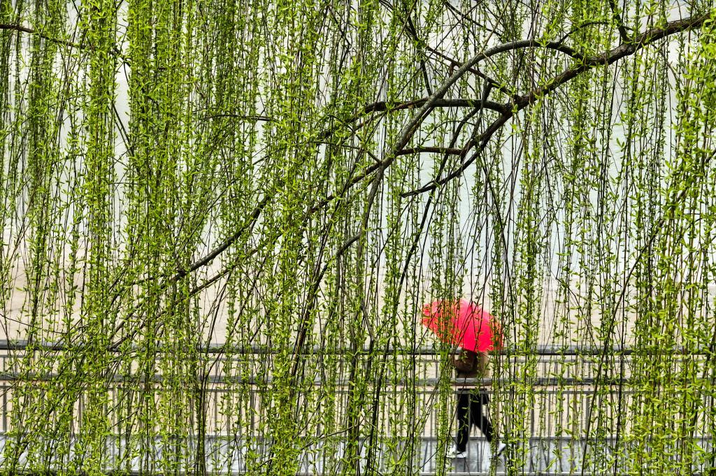 新场景新业态 持续激发"春日经济"活力