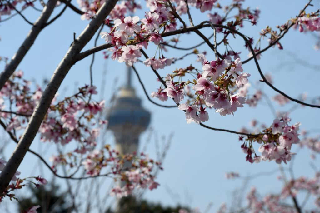 "春日经济"活力旺 文旅消费持续火热
