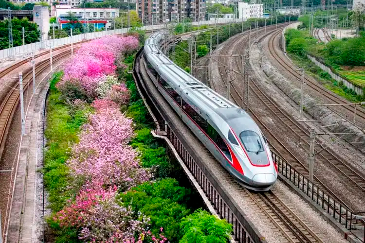 清明节当日火车票已发售