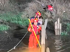 常州9人滩涂挖野菜被困 消防分组救援