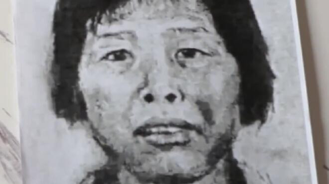 "梅姨案"追踪 警方披露"梅姨案"侦办细节