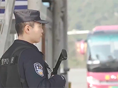 广西边境三市"春雷"行动查破涉边案件129起