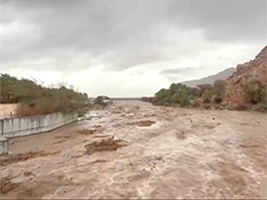 阿联酋阿曼等海湾多国遭遇强降雨