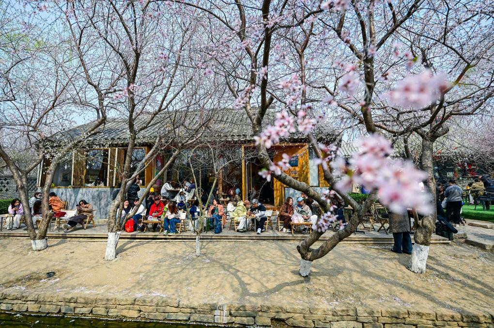 春日花海迎客来 赏花游持续升温