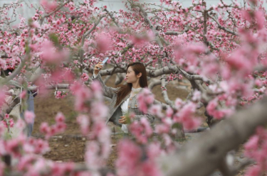 文化赋能 点燃春日经济新引擎