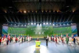 天津第十届世界青少年武术锦标赛开幕