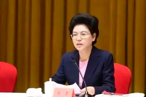 十三届全国政协教科卫体委员会副主任刘慧严重违纪违法被开除党籍