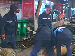 福建上杭:强对流天气致树木倒伏 消防部门连夜处置