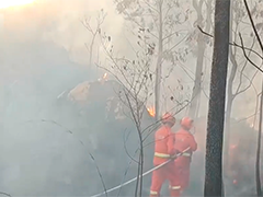 清明祭扫高峰至 当心野外用火惹祸