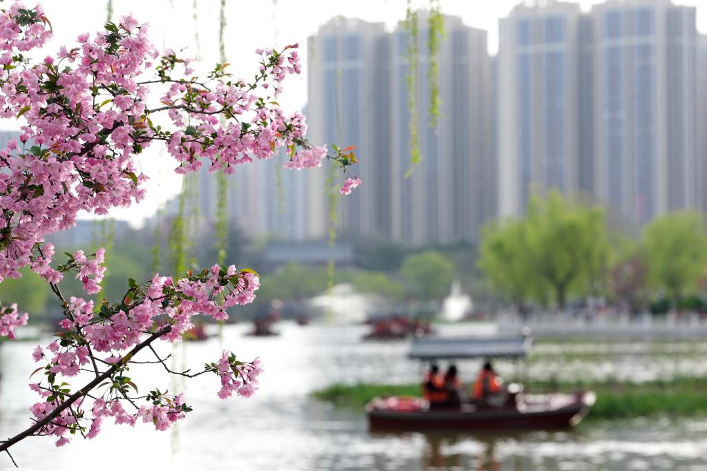 春和景明 赏花经济持续火热
