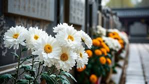 新修订的《殡葬管理条例》今起实施 殡仪服务由殡仪馆专门负责提供