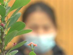 小心家教中介骗局 轻信网上"中介"大学生出借账号身陷骗局