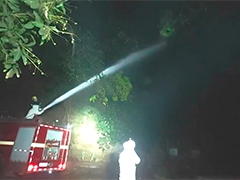 野蜂古树筑巢接连蛰伤村民 消防水炮冲击除患