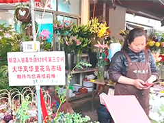 岚灵花鸟市场启动搬迁 三分之二商户有去向