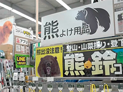 日本环境大臣警告今春或有更多"熊出没"