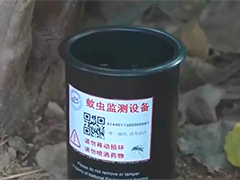广东为防控蚊媒传染病已启动全省监测