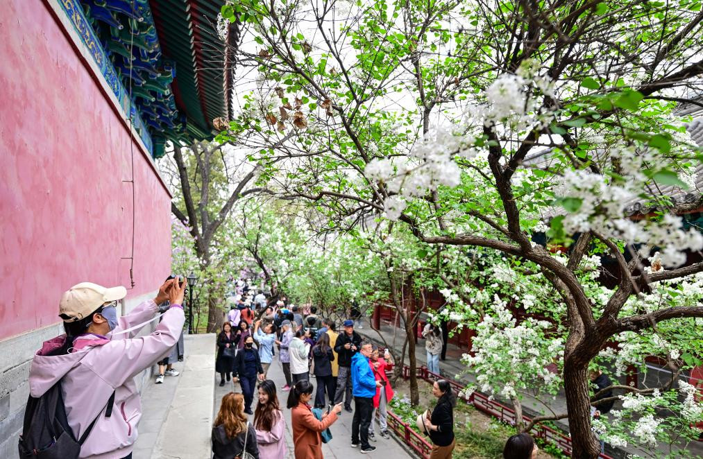 欢度假期 游人尽享好春光