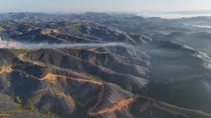 我国开发的东南亚单体最大光伏项目投运