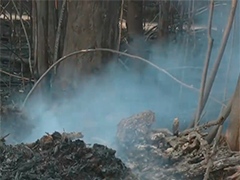 西班牙加利西亚森林大火得到控制