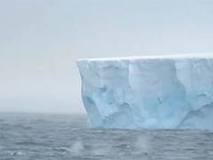 全球最大冰山完成末次崩塌 正式被"销号"