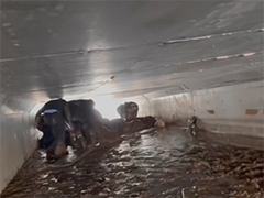 新疆克州 80余只羊被困淤泥 民警4小时完成救援