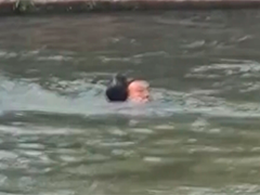 云南文山 男童玩耍时不慎落水 61岁男子跳河施救