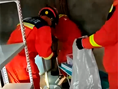 浙江余姚 村民家中发现菜花蛇 消防人员将其捕获