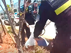 云南昆明 公园广场出现大蛇 民警及时抓捕