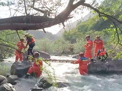 浙江武义茶农采茶被困 消防架梯开辟"生命通道"