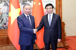 王沪宁会见越共中央总书记、国家主席苏林