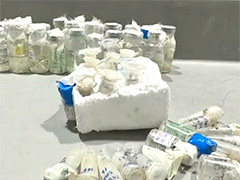 北京海关查获走私寄生虫 携带者称用于实验