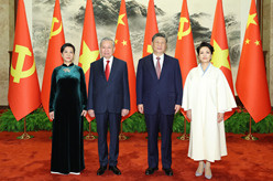 习近平同越共中央总书记、国家主席苏林举行会谈