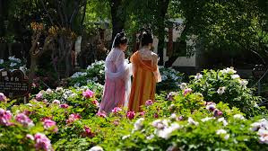 百花竞放 文旅融合绘就春日好时光