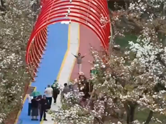 河南洛阳:场景焕新 让游客从"赏花"到"入戏"