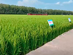 【新思想引领新征程】强化农业科技支撑 农业现代化步伐全面提速