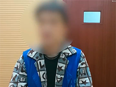 偷盗潮玩转卖牟利 一对情侣被依法刑拘