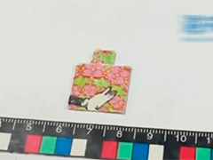 郑州海关查获750张毒品"邮票"
