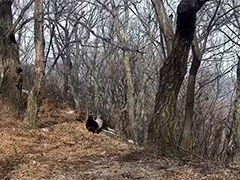 生态环境部·京津冀18处国家级自然保护区 10处评估为优 8处为良