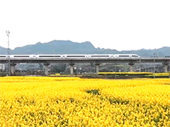 新举措助跑旅游列车 激发消费新活力