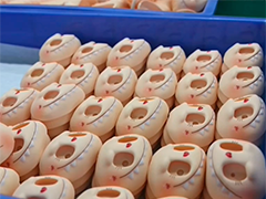 广西贵港警方破获特大文创产品侵权案