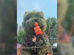 网红"潦草小狗"修剪一新 迎接“五一”假期