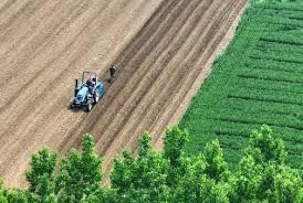 农业法修订草案首次提请审议 推动农业高质量发展 加快建设农业强国