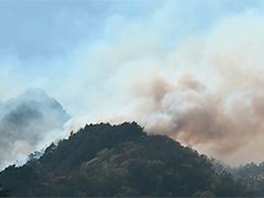 日本岩手县山火持续蔓延六天仍未受控