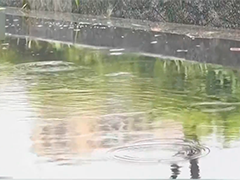 昨天广东福建浙江云南等地降雨持续