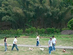 从城市到农村"宠物友好"不断拓展新场景