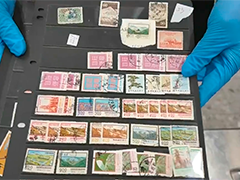 伪装夹带逃避监管 海关查获2235枚文物邮票