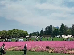 上海假期共接待游客超1690万人次