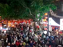 长线游 夜经济 银发经济成亮点