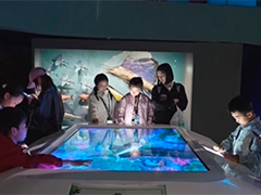 博物馆研学游 为县域文旅注入新动能